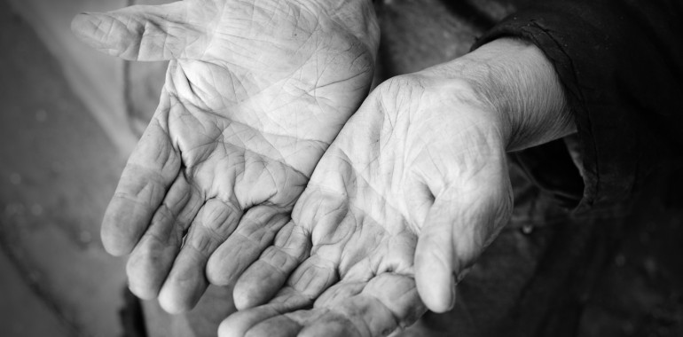 Sed blandit massa vel